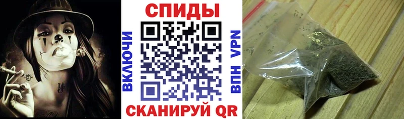 купить наркоту  даркнет формула  Бутират буратино  Губаха 