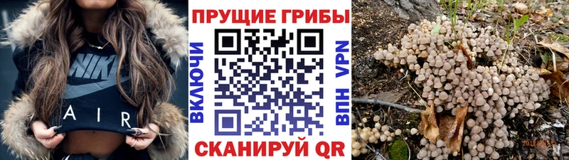 Галлюциногенные грибы MAGIC MUSHROOMS  Губаха 